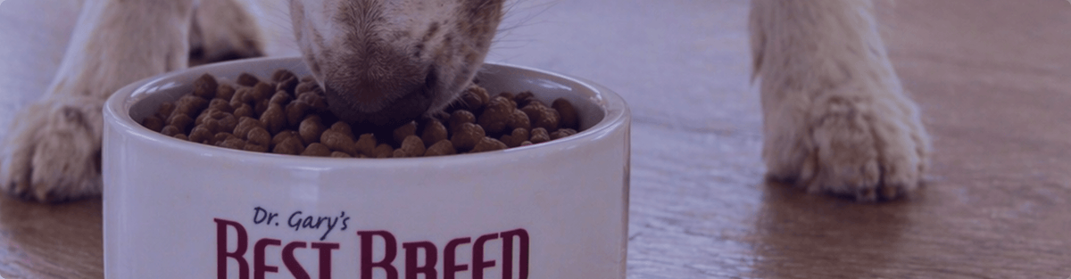 Dr. Gary's Best Breed