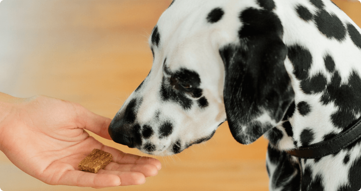 Natural Dog Treats