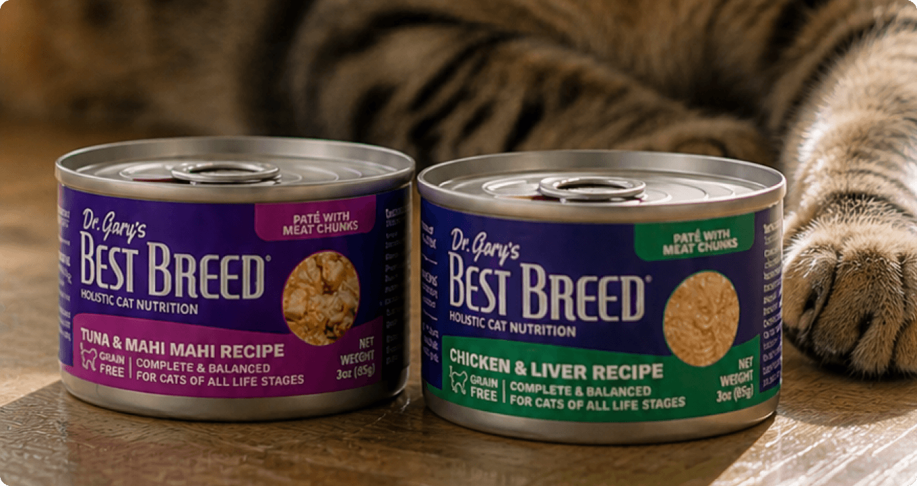 Wet Cat Food