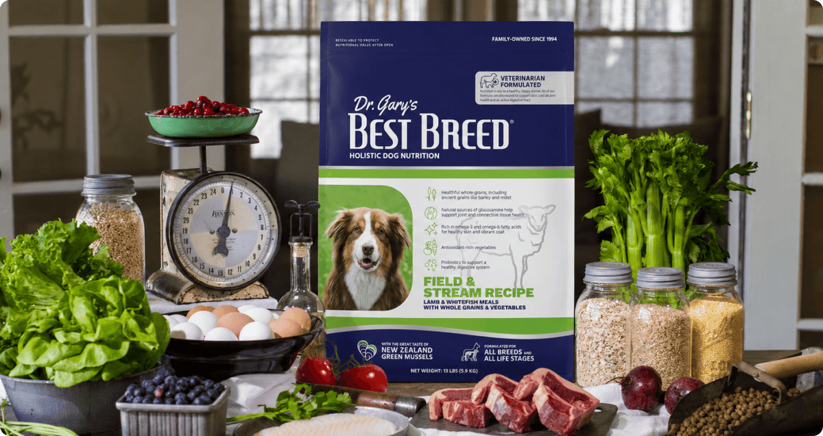 Dry Dog Food