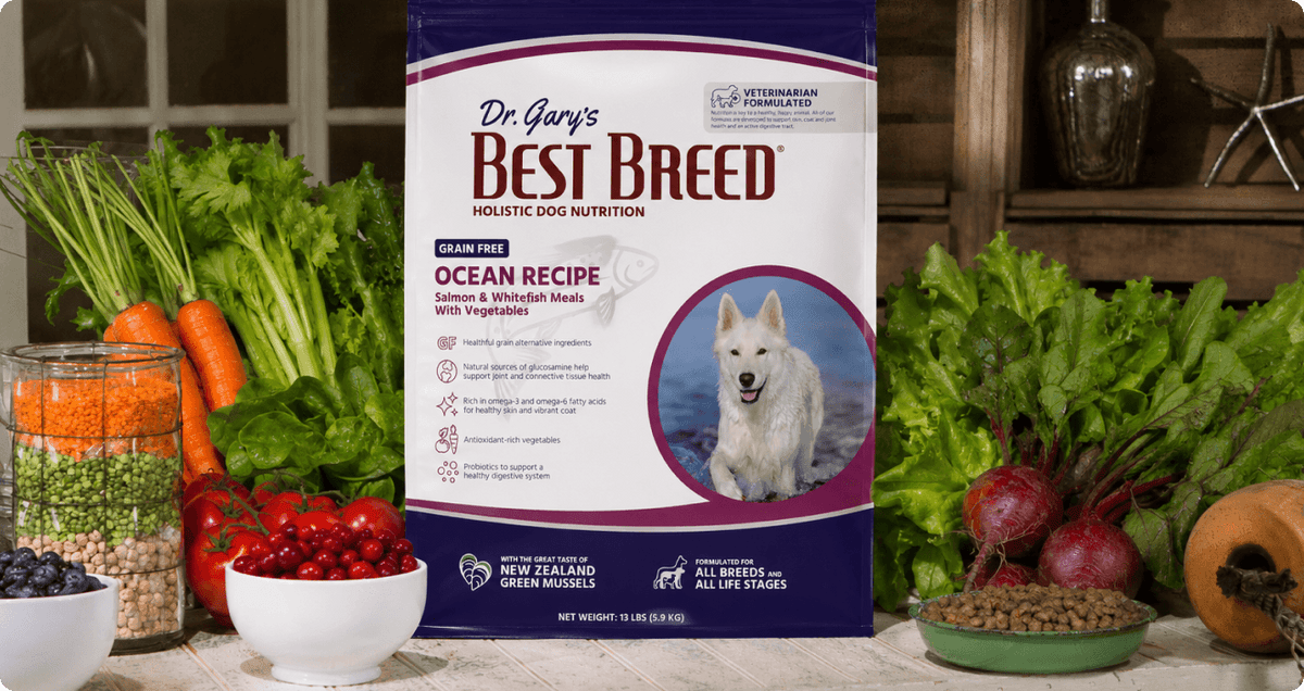 Grain-Free Dog Food