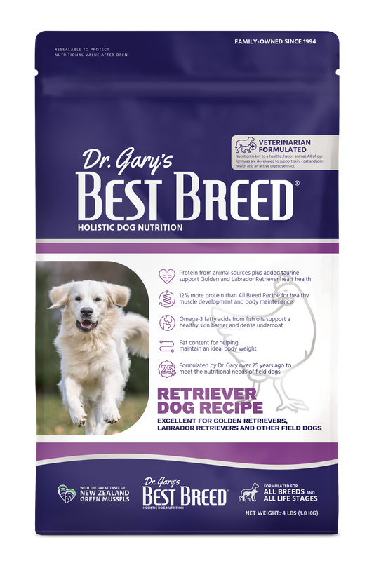 Best Breed Retriever Dog Recipe