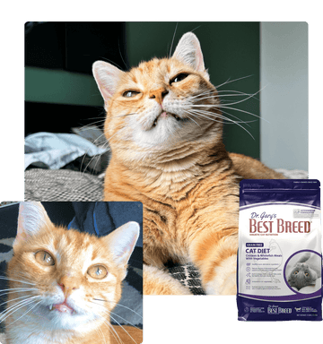 Meet <em>Tigger</em>