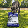 Large Breed Dog Recipe