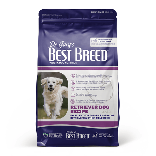 Retriever Dog Recipe