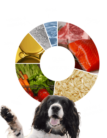 COMMON SENSE NUTRITION – IN AISLES FULL OF NOISE