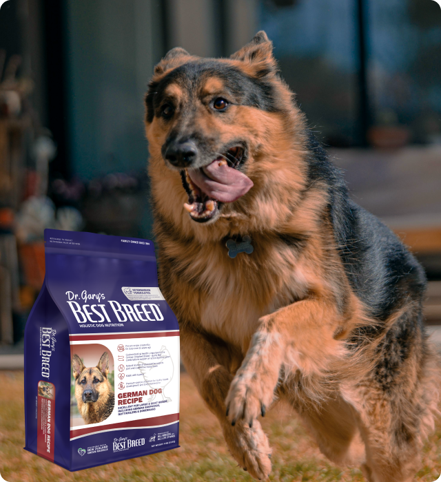 German Dog Recipe