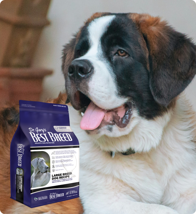Large Breed Recipe
