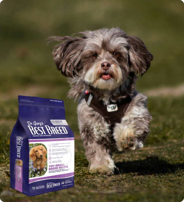 Toy & Small Breed Recipe
