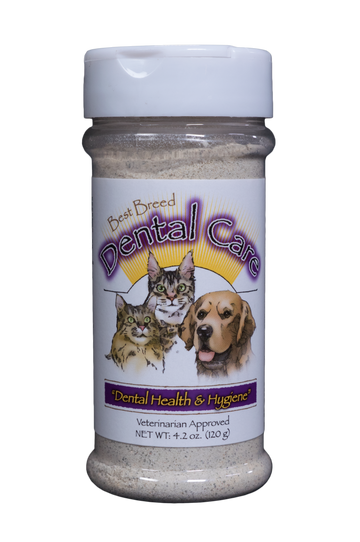 Best Breed Dental Care