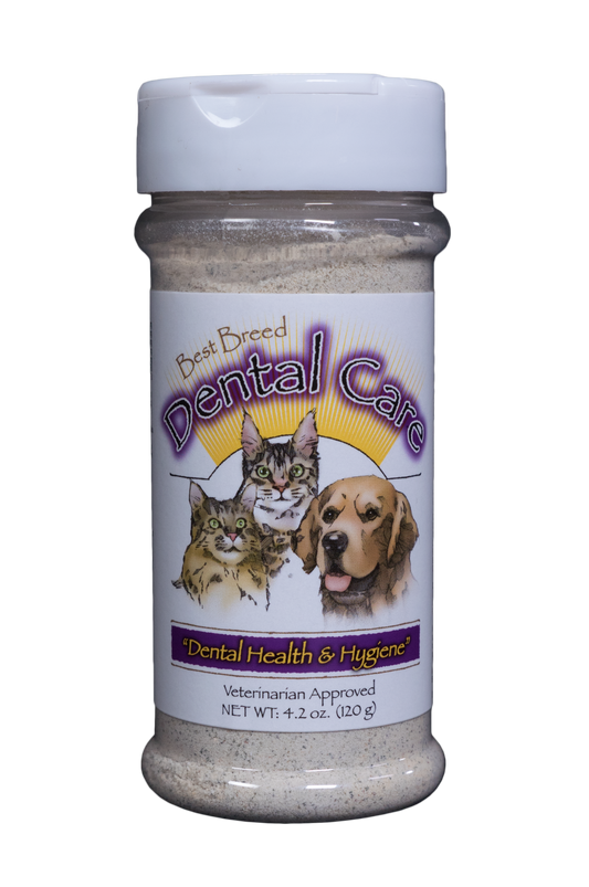 Best Breed Dental Care